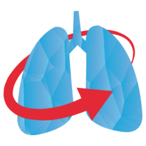 Daatnews – Edición Español